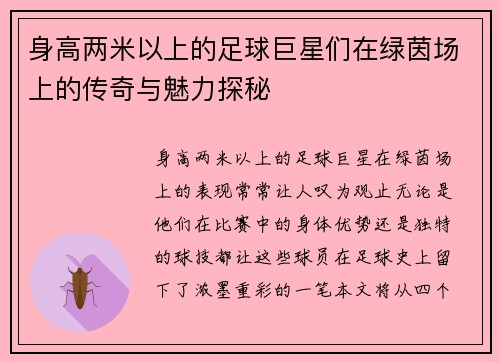 身高两米以上的足球巨星们在绿茵场上的传奇与魅力探秘